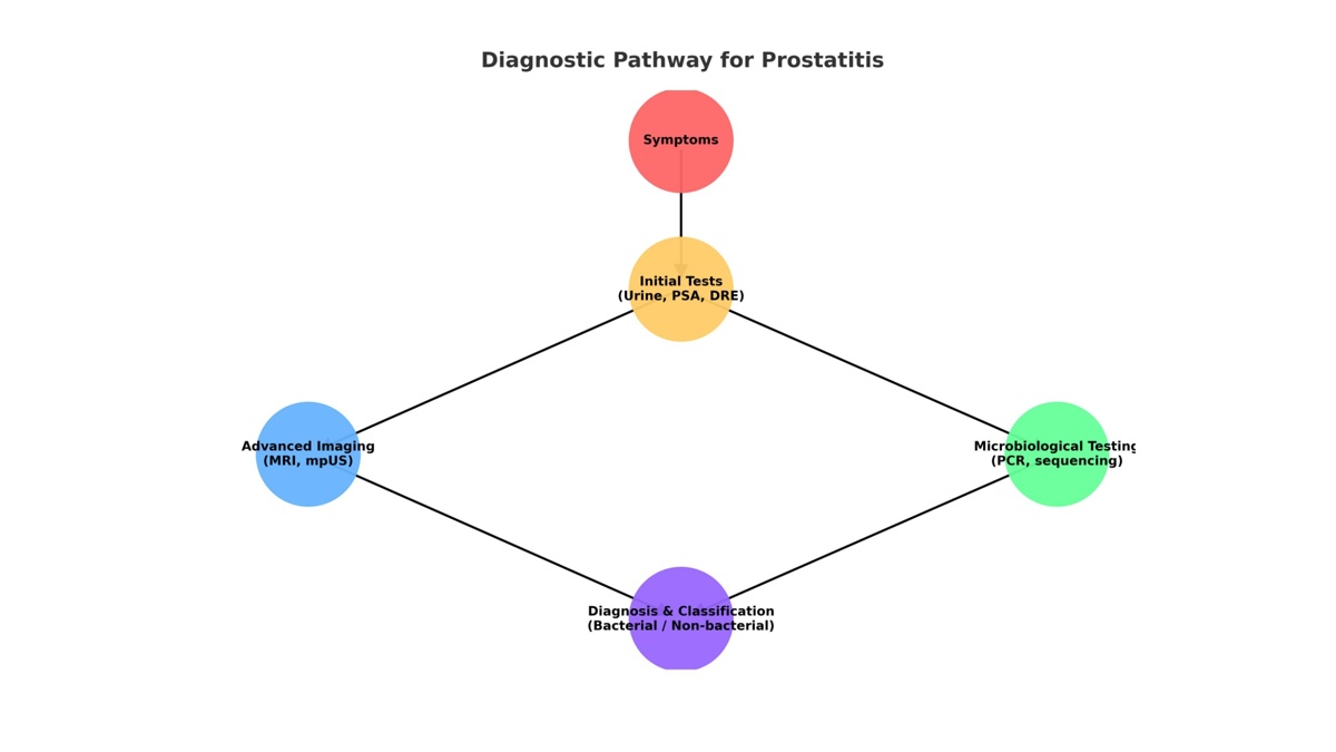 Diagnostic Pathway Prostatitis