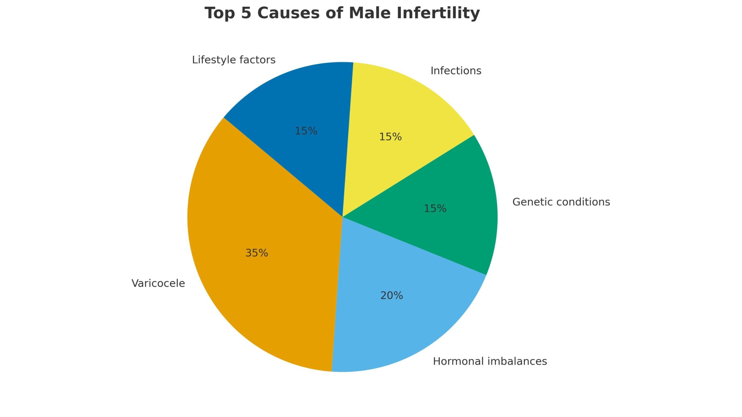 Causes of male infertility
