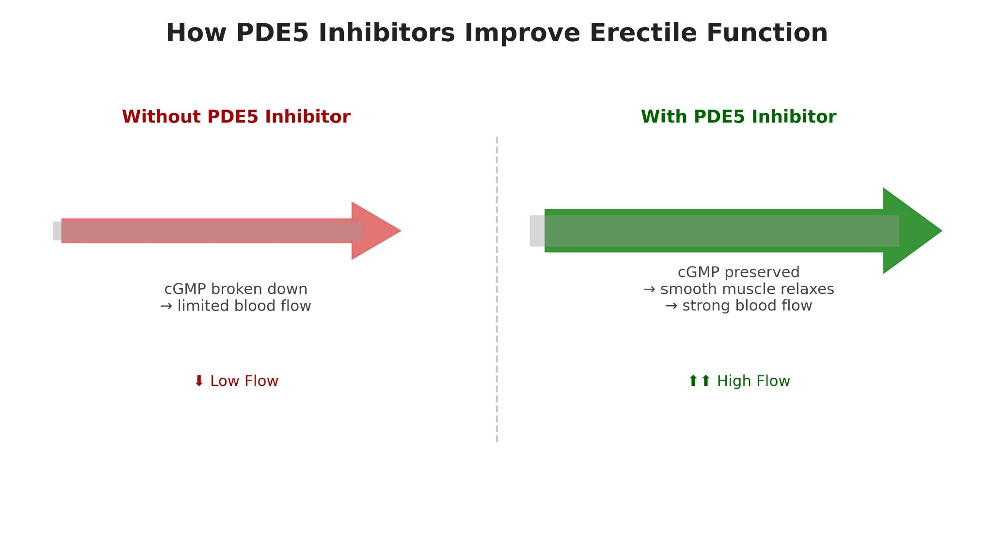 PDE5 inhibitors infographic